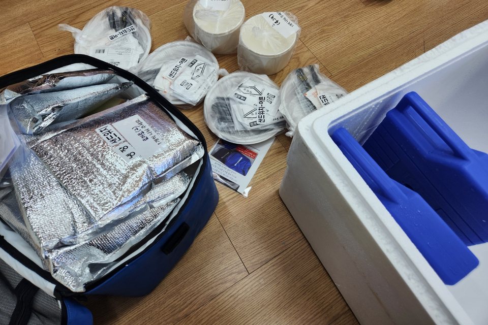 택배를 열자 보냉가방과 아이스팩이 든 스티로폼 박스가 보이는 수령 사진